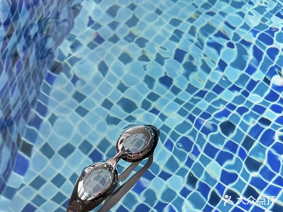 和谐体育