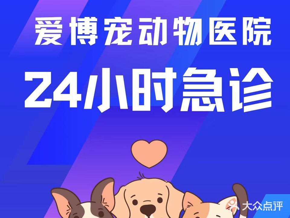 爱博宠动物医院