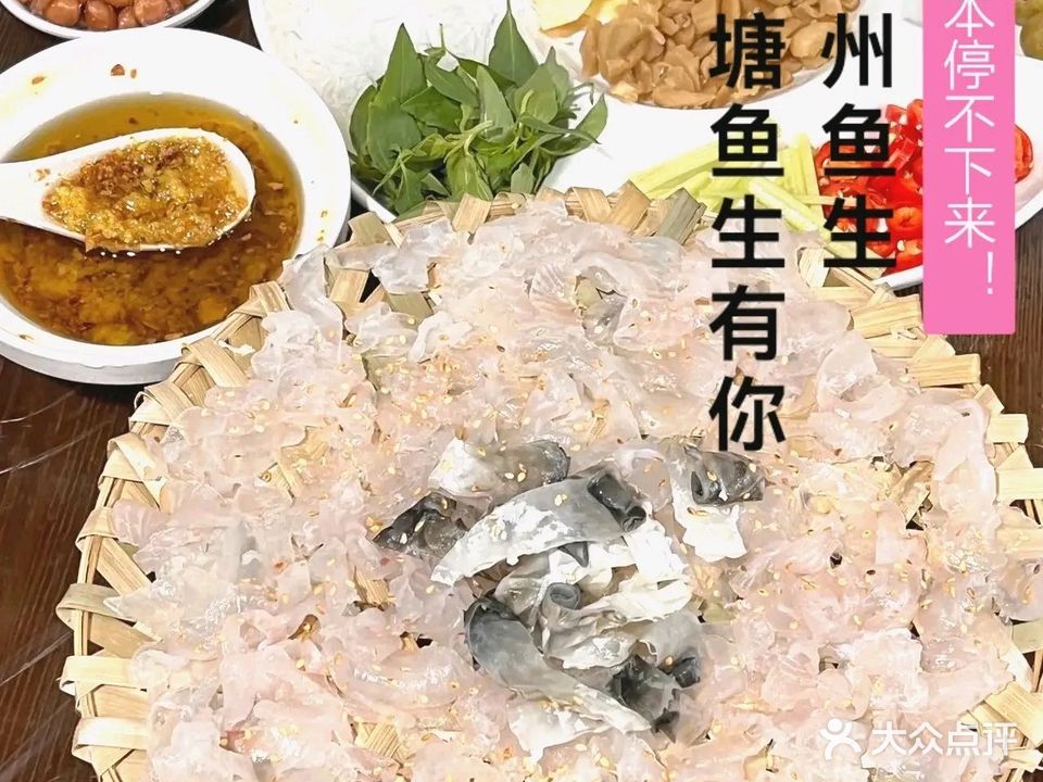 官塘鱼生有你