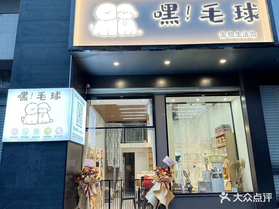 嘿!毛球宠物生活馆