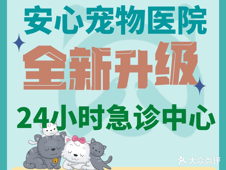 安心宠物医院·眼科·骨科·ct影像·急重症中心