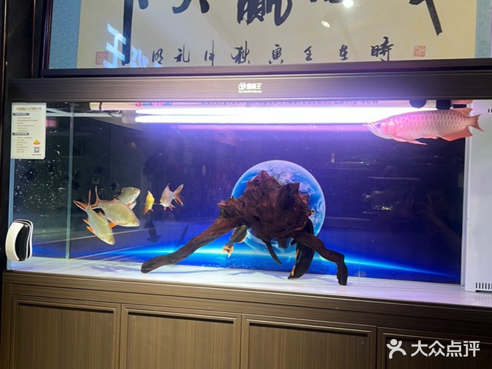 鑫淼水族