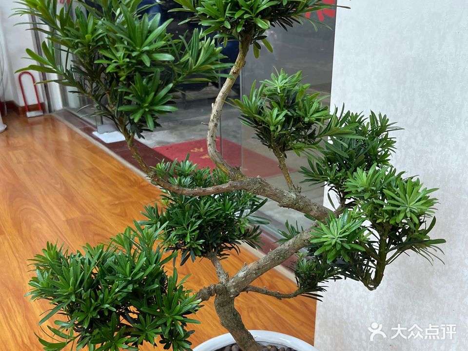 康疗推拿馆(玉林店)