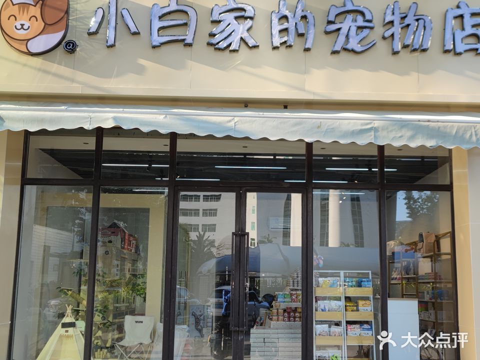 小白家的宠物店