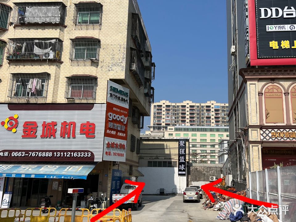 聚猩篮篮球