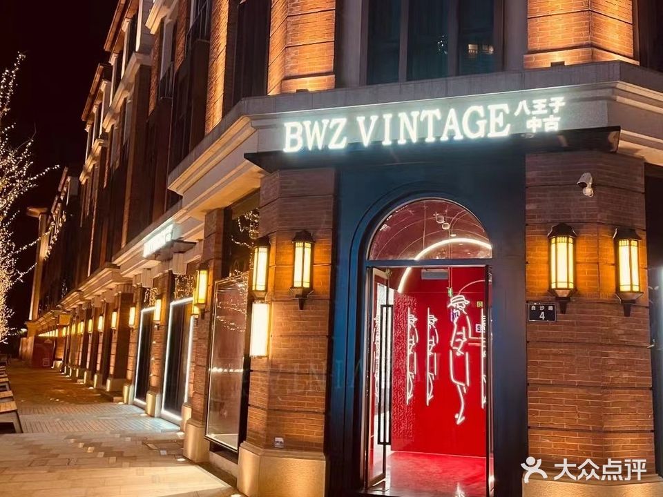 BWZ VINAGE八王子中古(江北北外滩店)