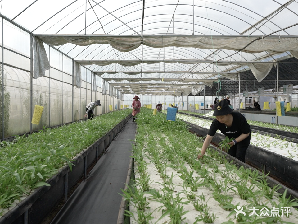 云南省昆明市渔菜农业科技有限公司