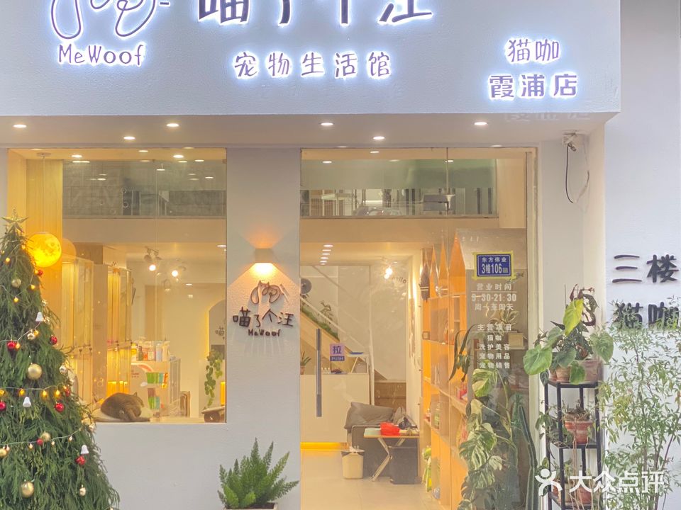 瞄了个汪宠物生活馆猫咖(东方伟业广场店)