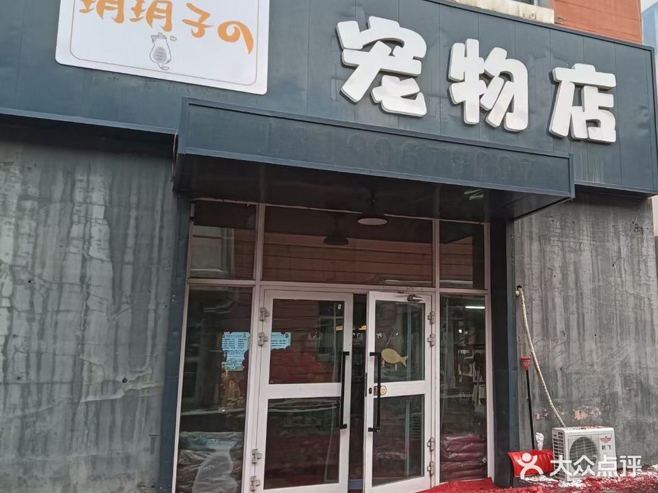 玥玥子宠物店