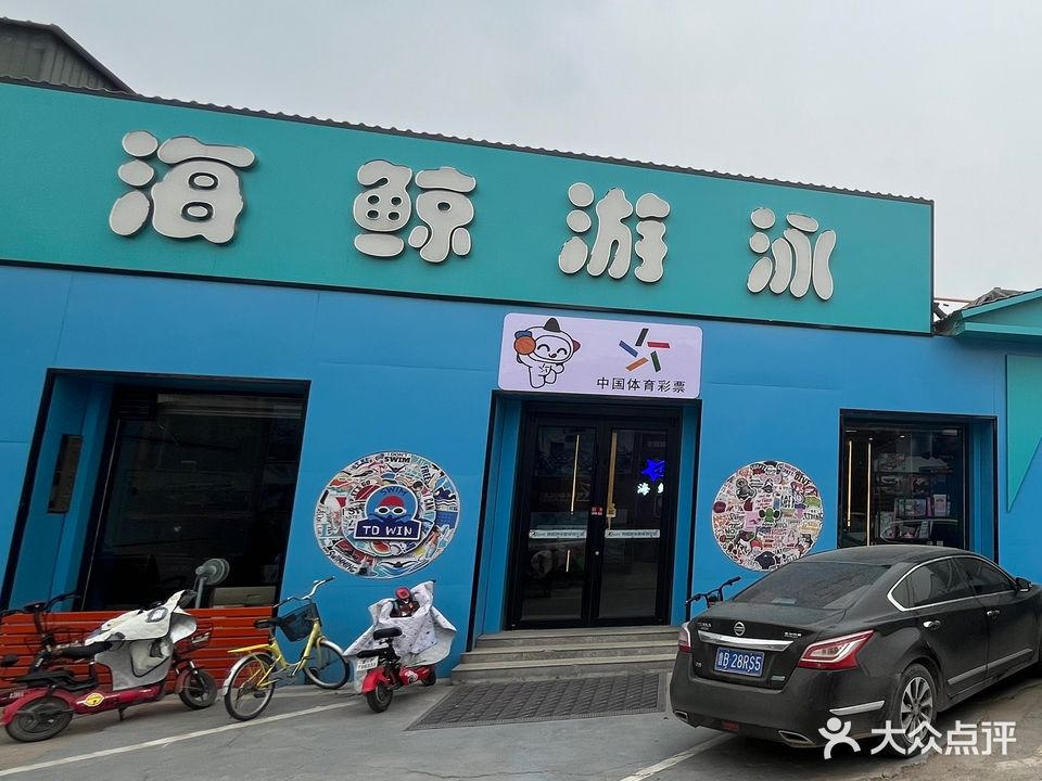 海鲸游泳