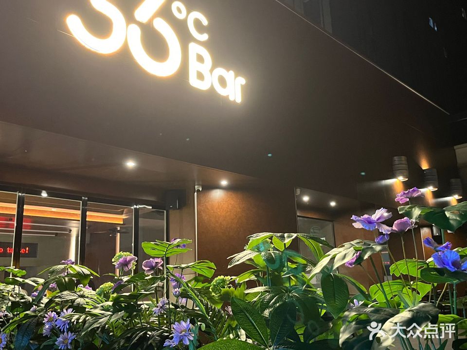 36°C Bar