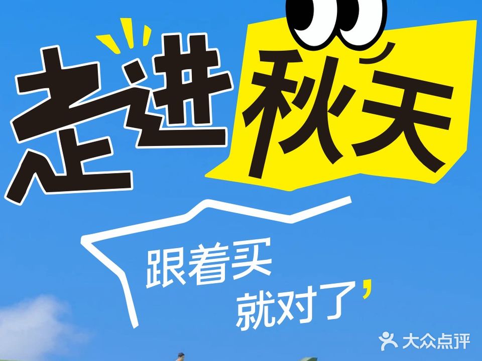 浙温眼镜(乐至一店)