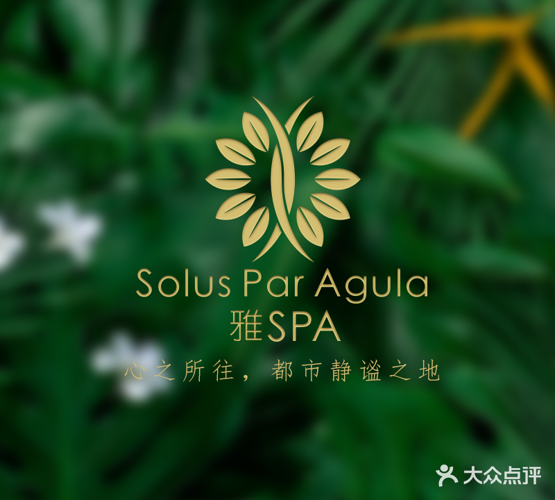 雅SPA抗衰老中心(洲际店)