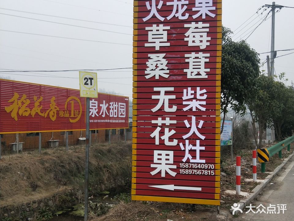 龙泉桑葚采摘园