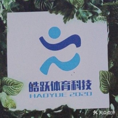 皓跃三得利体育公园·足球·绪球