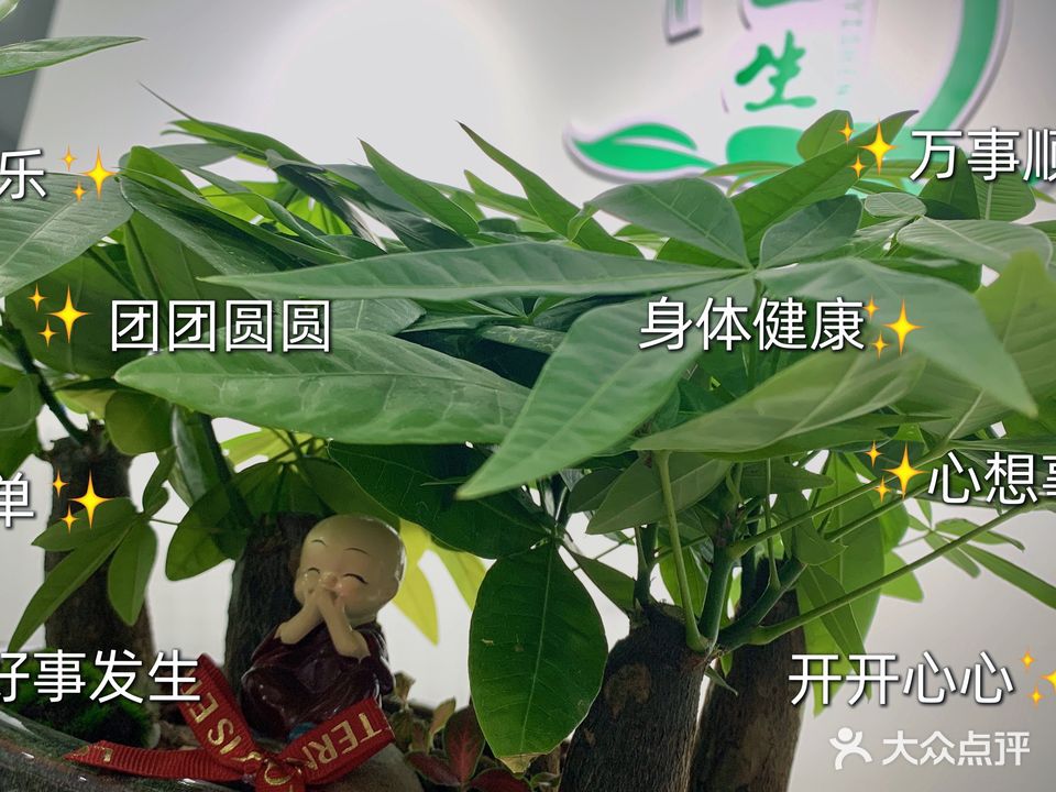 头一生苗家特色头疗