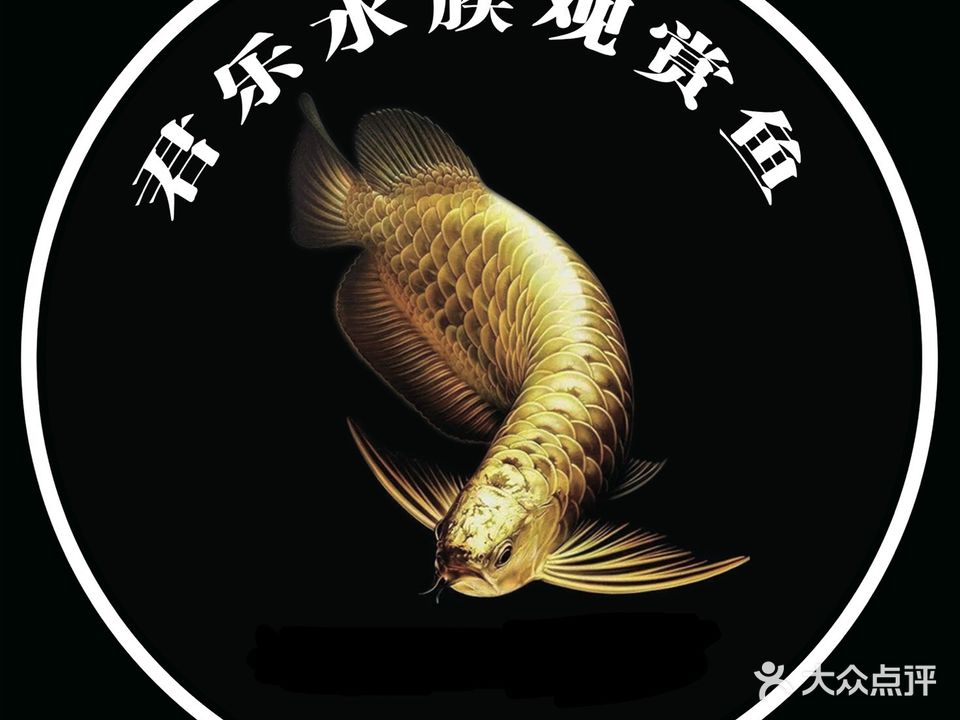 金乐水族观赏鱼店