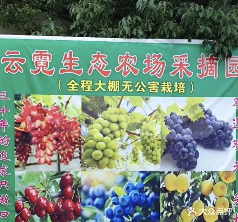 云梦县云霓生态农场葡萄采摘园