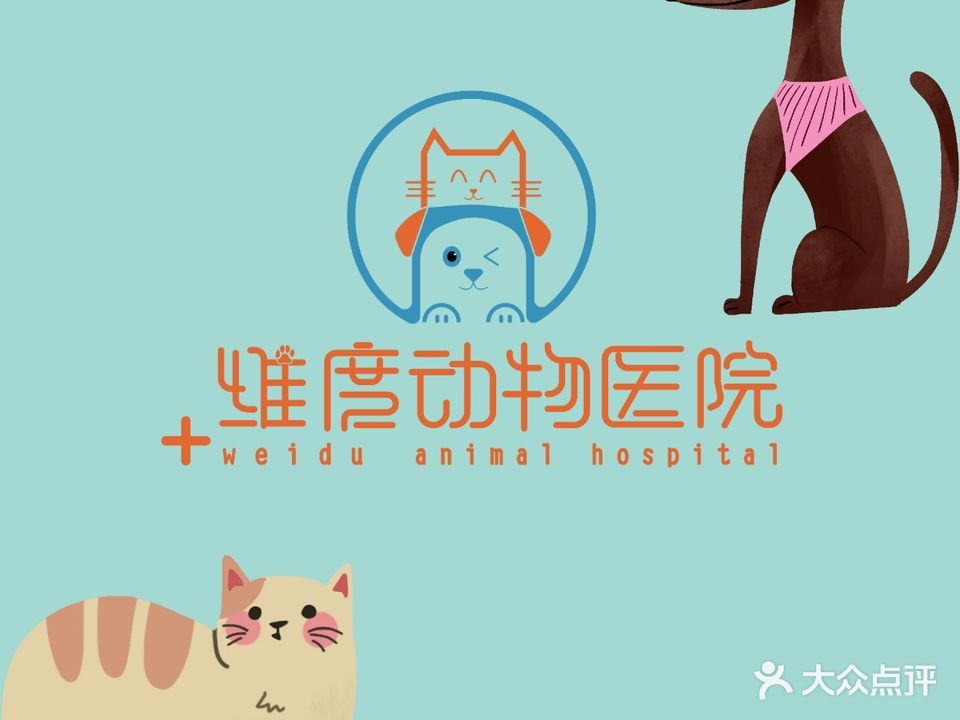维度动物医院