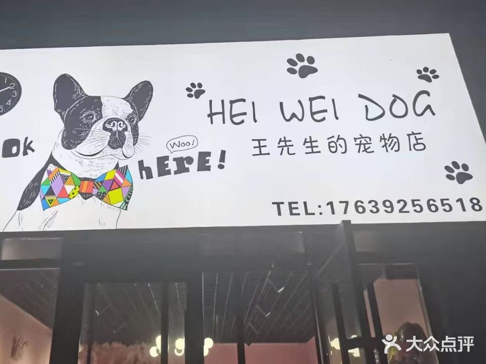 王先生的宠物店