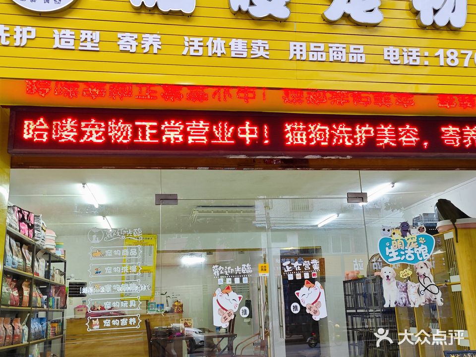哈喽宠物店