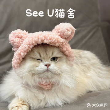 See U猫舍