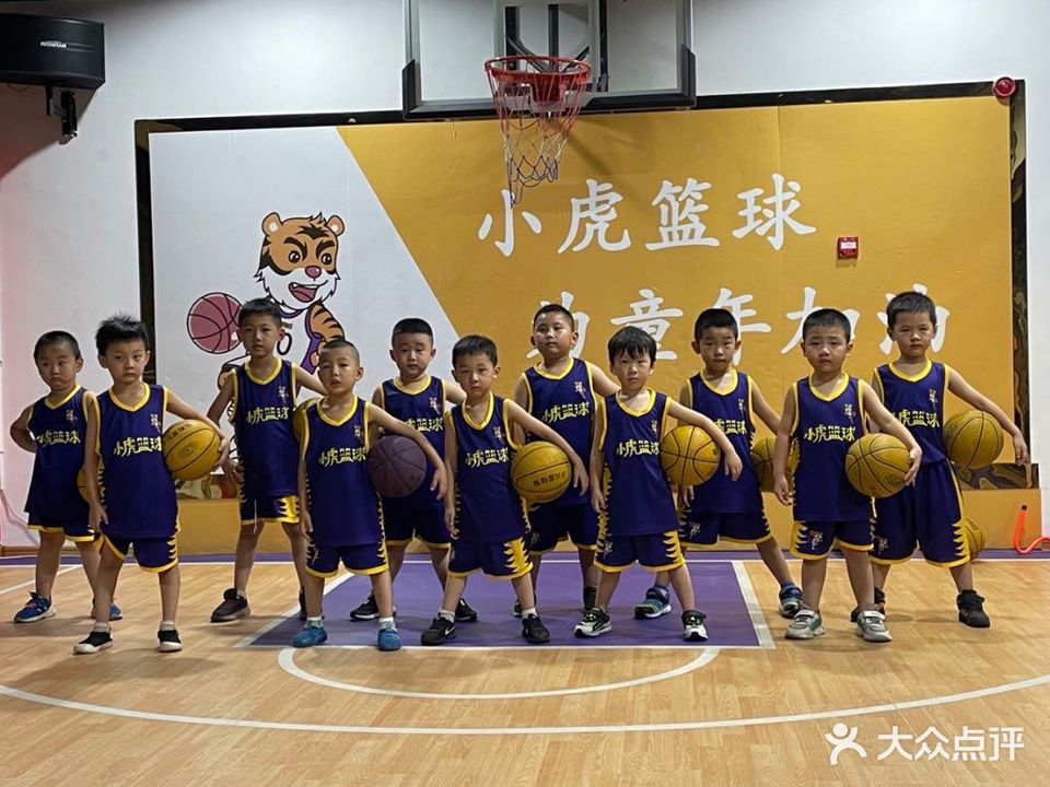 小虎篮求