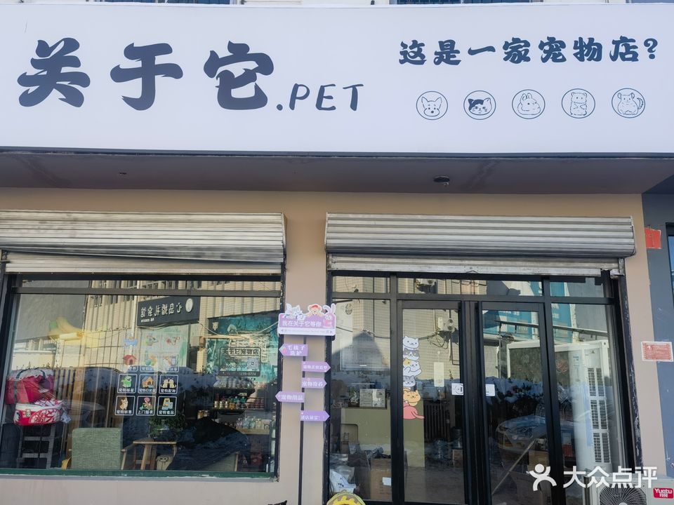 关于它宠物店