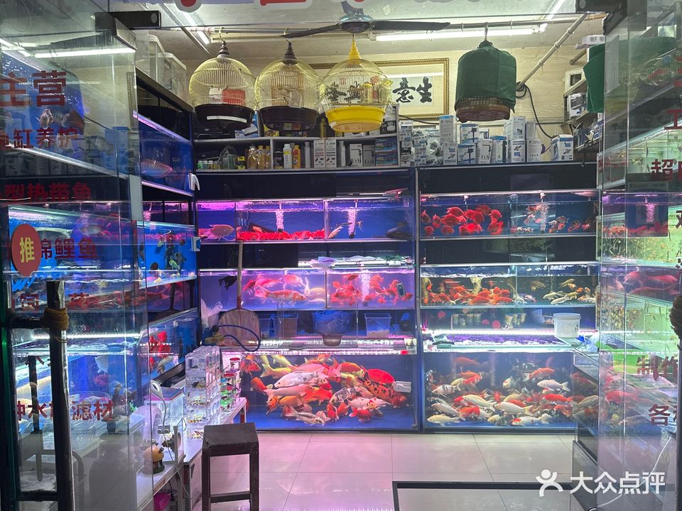 小霍水族馆