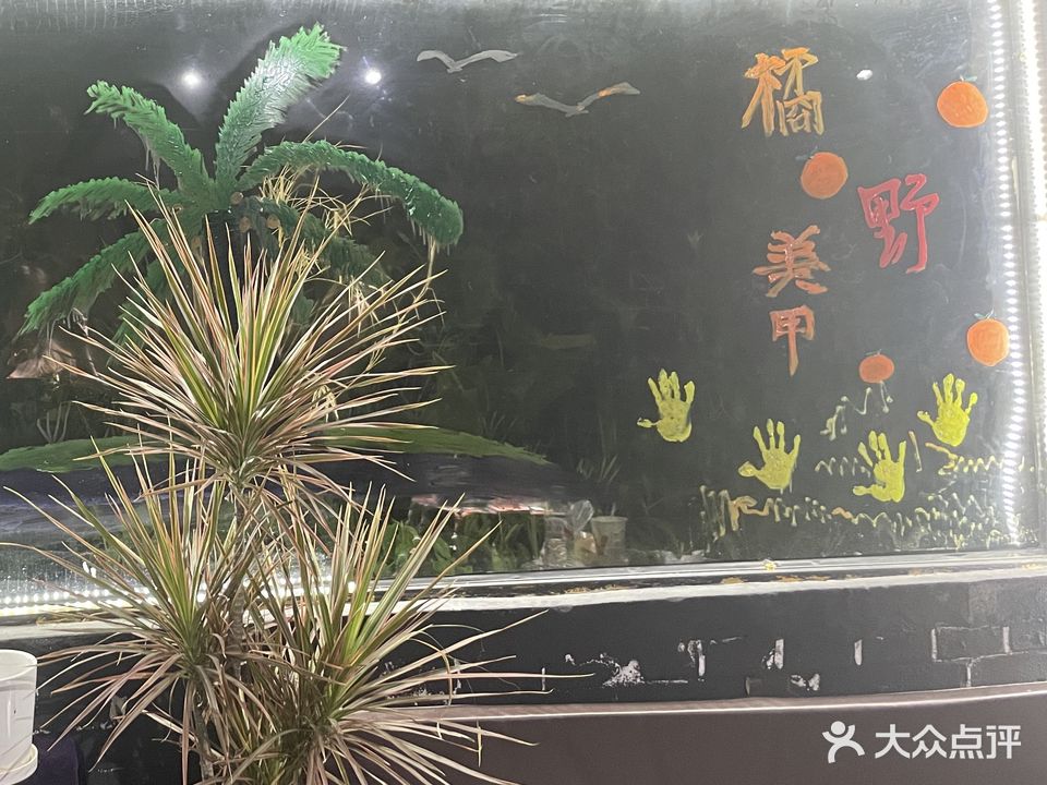 上古Nail美甲美睫工作室