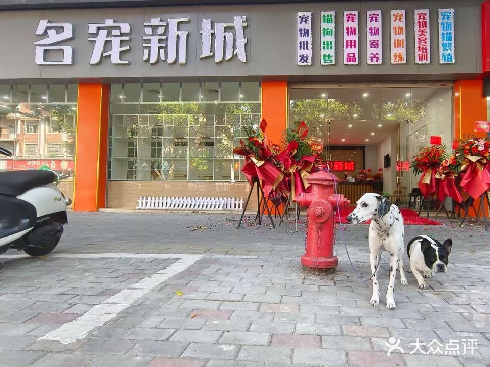 名宠新城诊疗中心