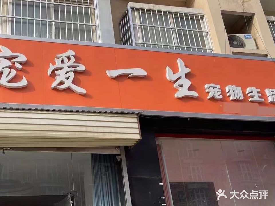 宠爱一生宠物生活馆(健康路店)