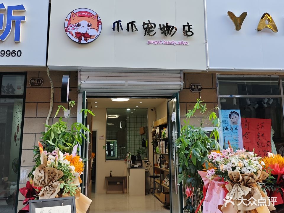 爪爪宠物店