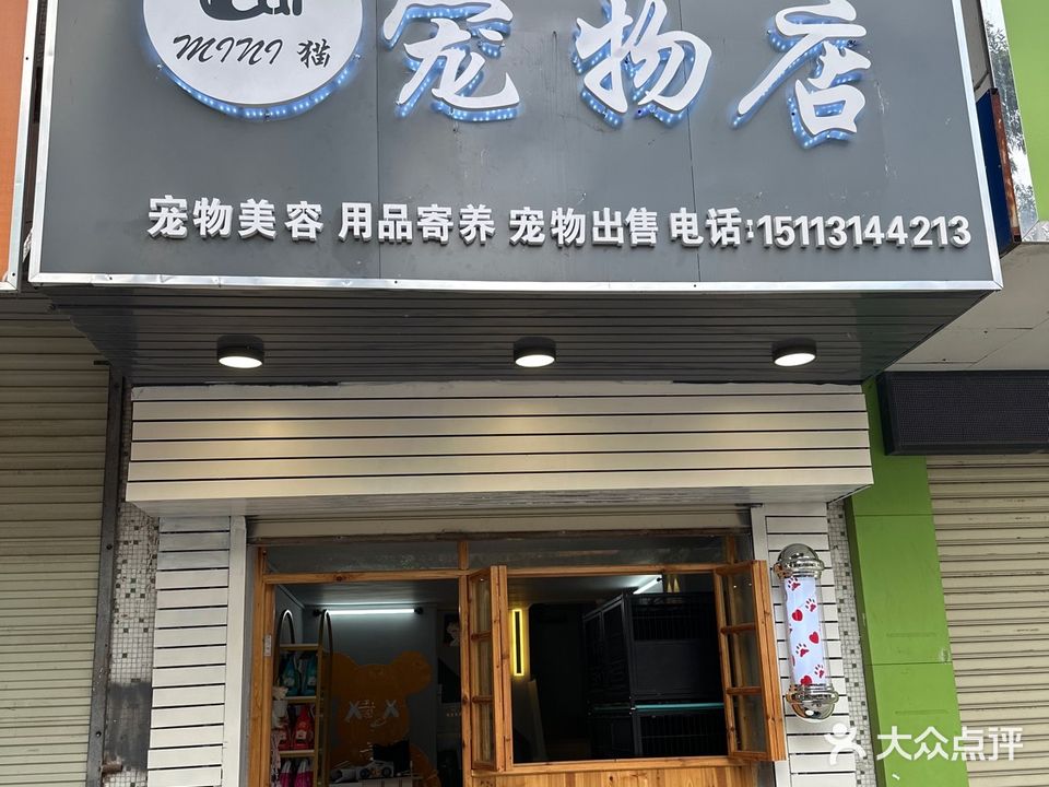 Mini猫宠物店