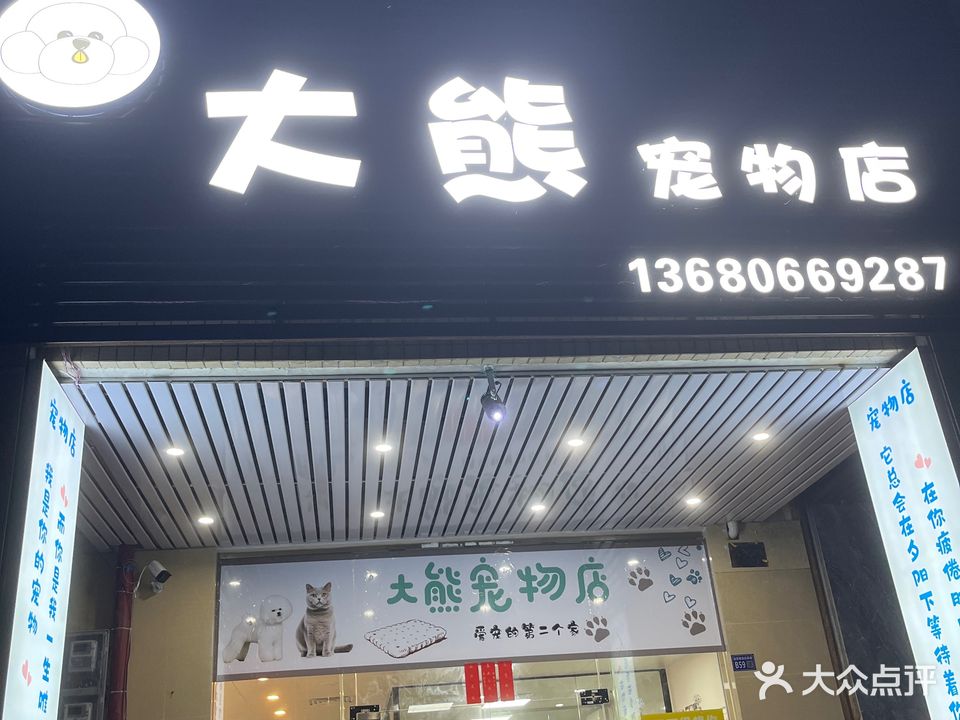 大熊宠物店