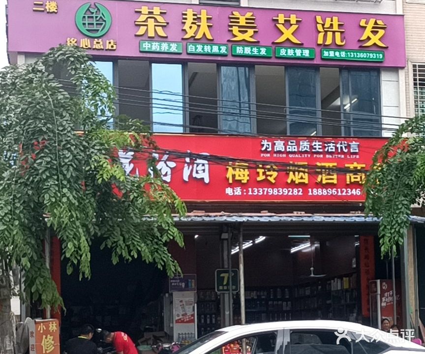 茶麸姜艾洗发