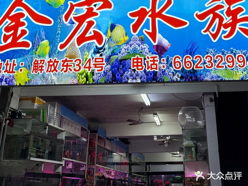 金宏水族