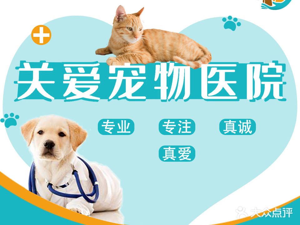 关爱宠物医院宠物眼科猫科骨科中心(明德北分院)