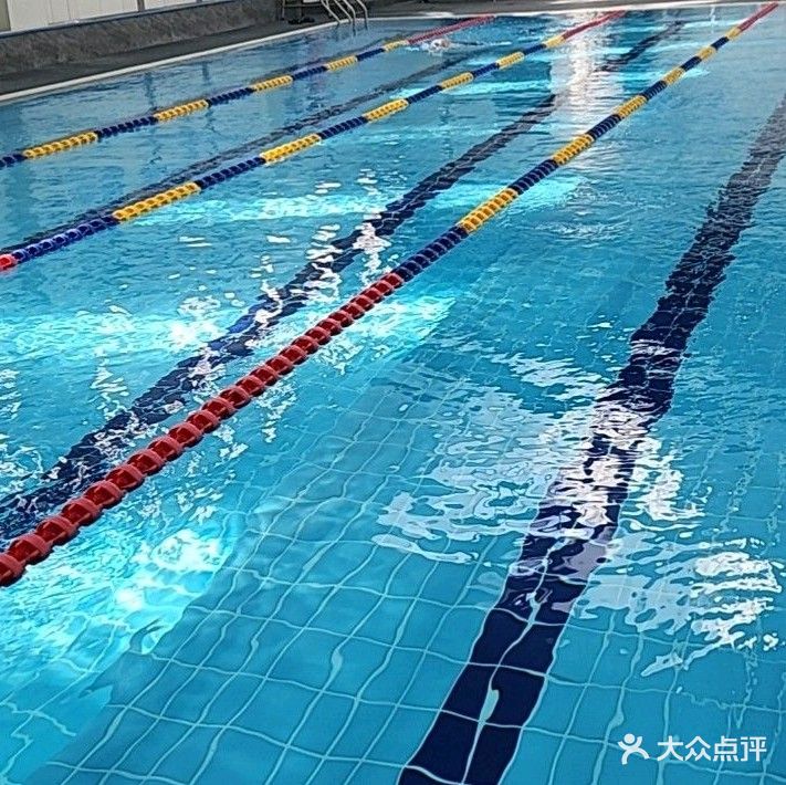 珺·茉莉游泳教培训基地