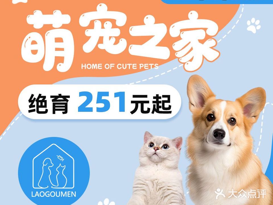 老狗门·宠物医院·犬猫专科·内科中心(峡山店)