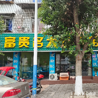 富贵名犬宠物