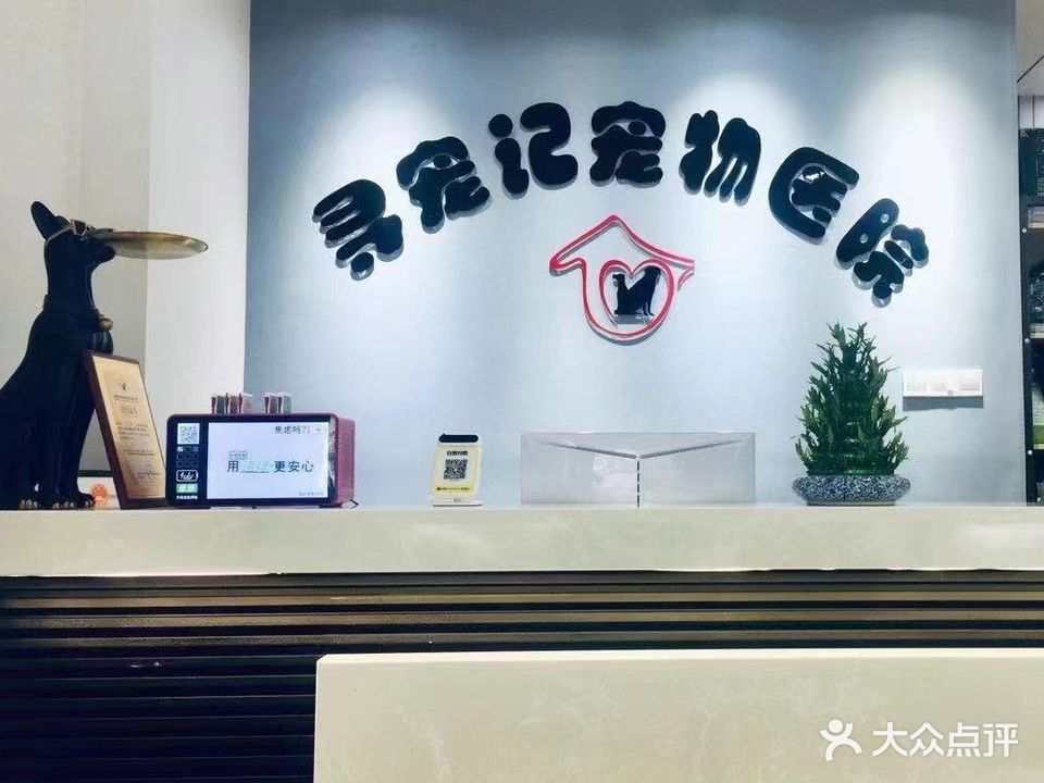 寻宠记宠物