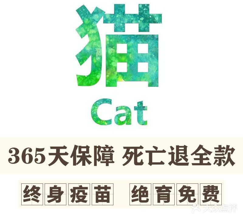 随心猫舍·宠物猫(福田岗厦店)