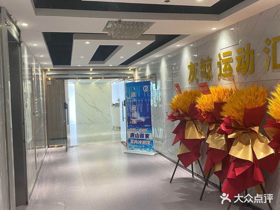 灰鲸运动汇