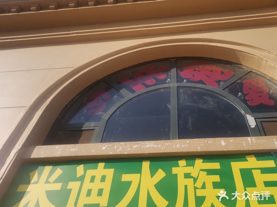 迪米水族店(富贵城店)