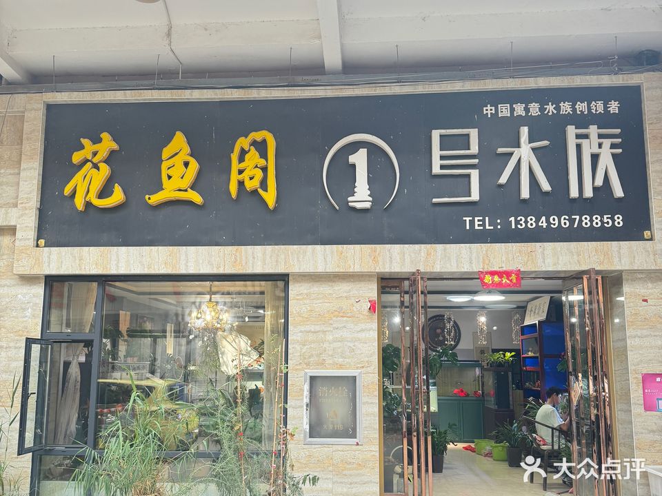 1号水族