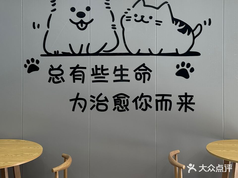 乐宠相伴猫咖(新伟公园华庭店)