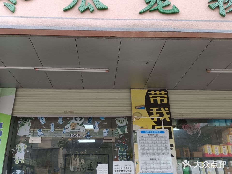 冬瓜宠物