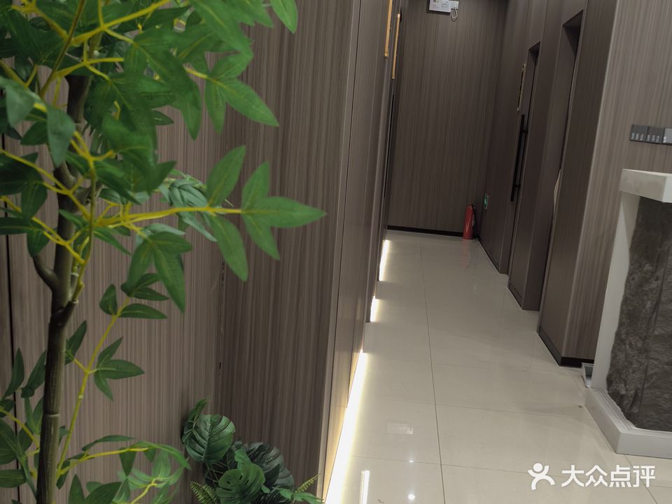 肿锦禾灭养生采耳