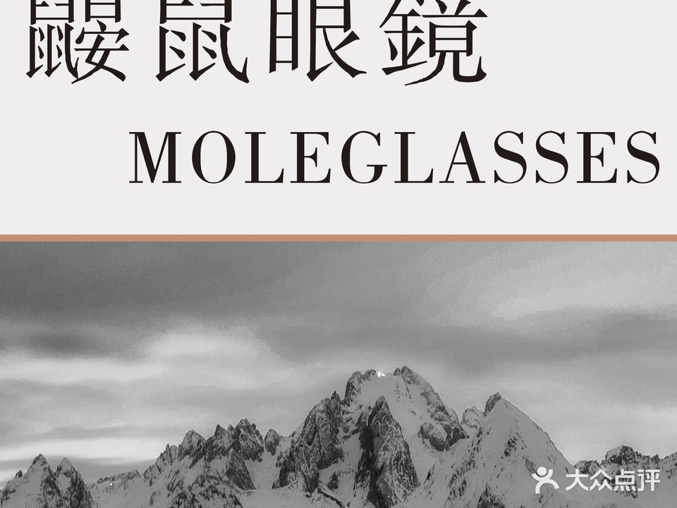 Moleglasses鼹鼠眼镜(江汉路店)